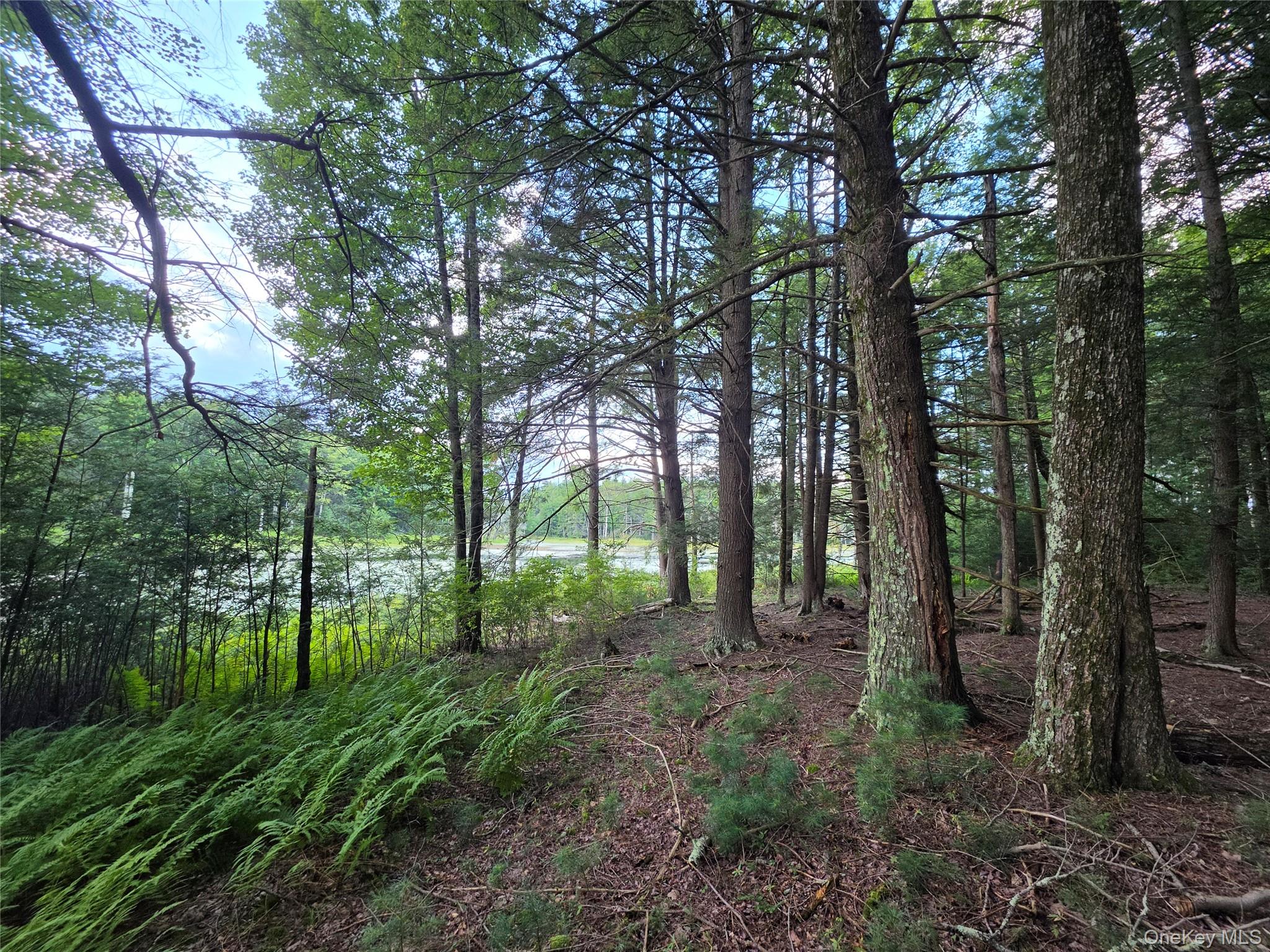 Lot 23 Deer Meadow Road – For Sale photo 43