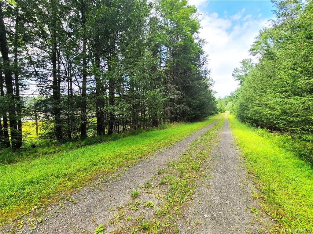 Lot 23 Deer Meadow Road – For Sale photo 31