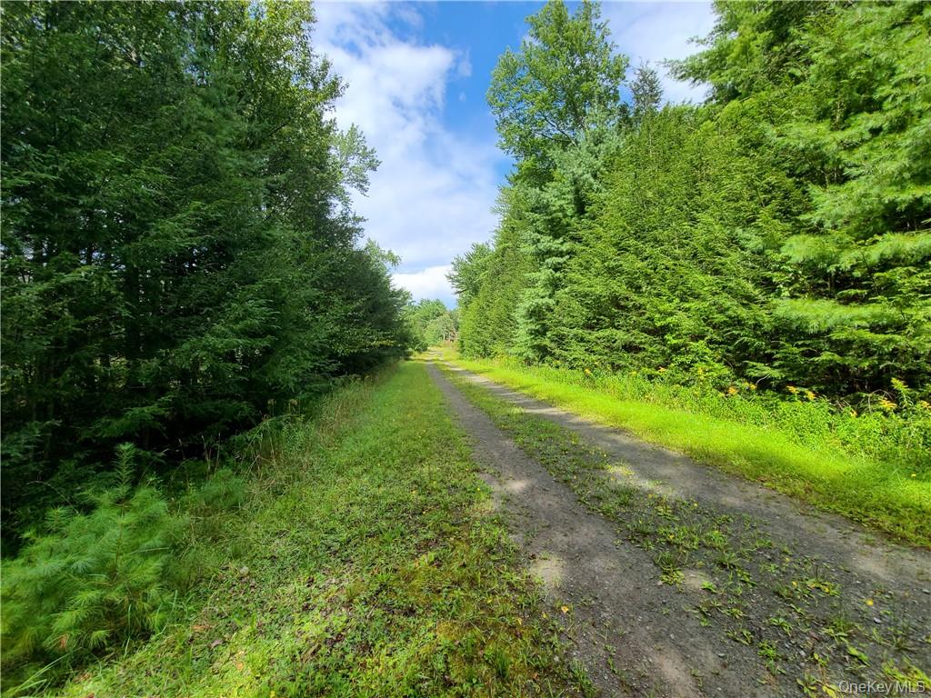 Lot 23 Deer Meadow Road – For Sale photo 30