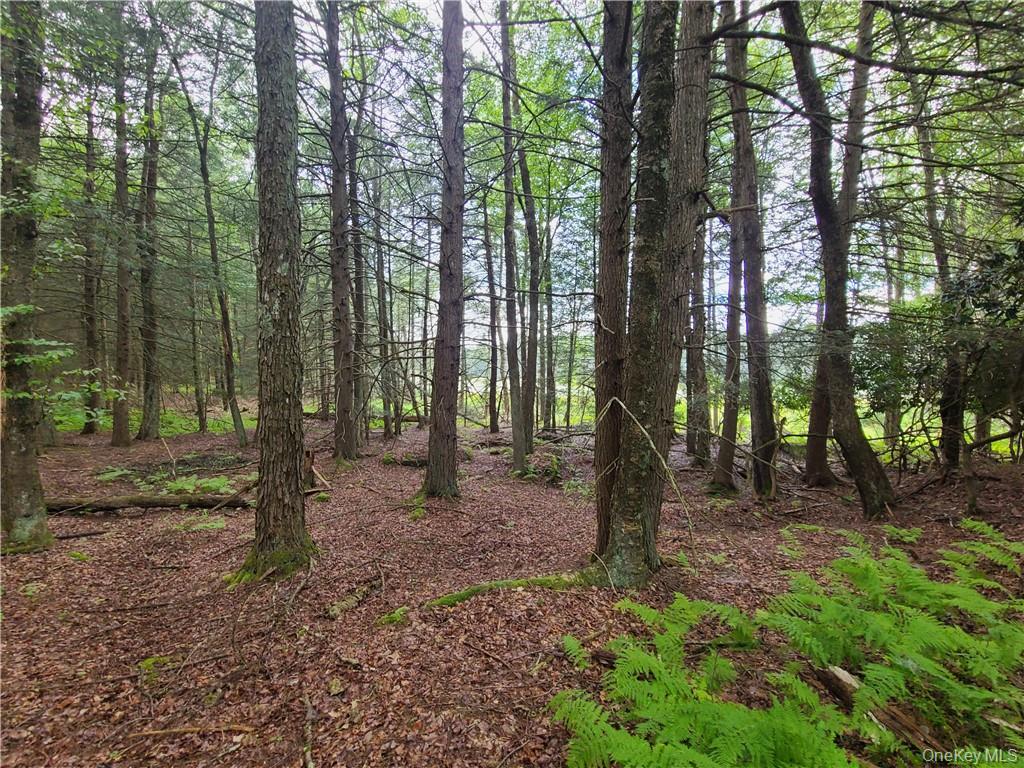 Lot 23 Deer Meadow Road – For Sale photo 17