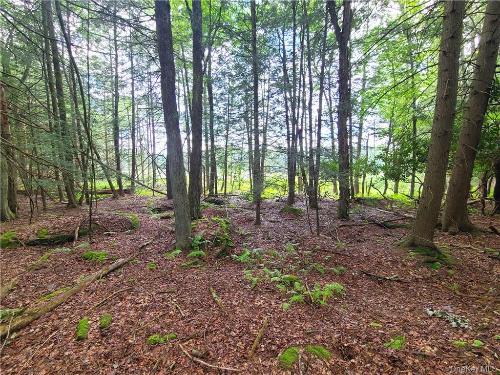 Lot 23 Deer Meadow Road – For Sale photo 7