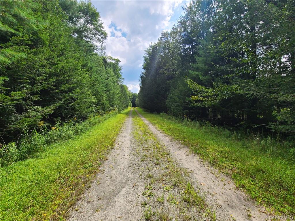Lot 23 Deer Meadow Road – For Sale photo 9