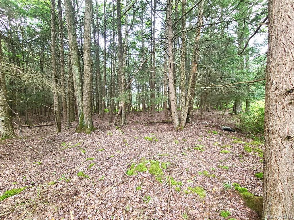 Lot 23 Deer Meadow Road – For Sale photo 26