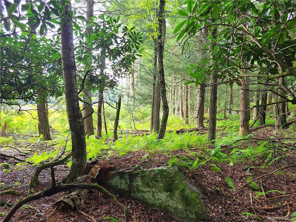 Lot 23 Deer Meadow Road – For Sale photo 15