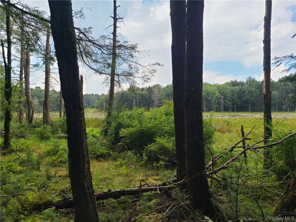 Lot 23 Deer Meadow Road – For Sale photo 6
