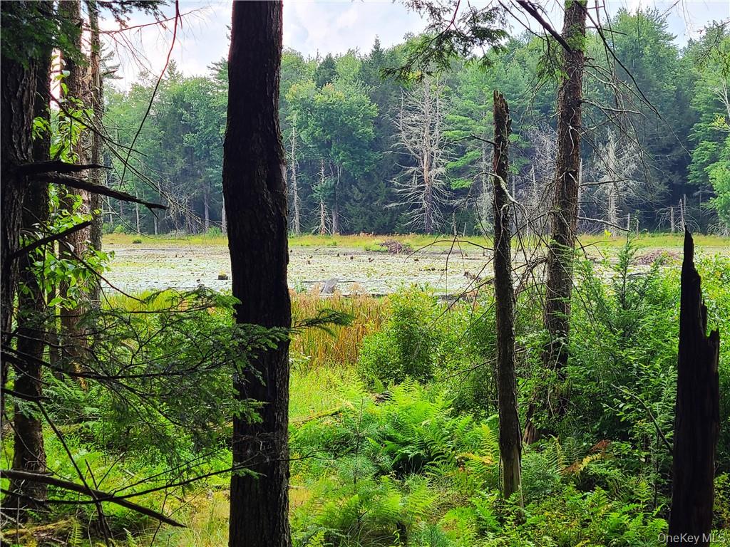 Lot 23 Deer Meadow Road – For Sale photo 5