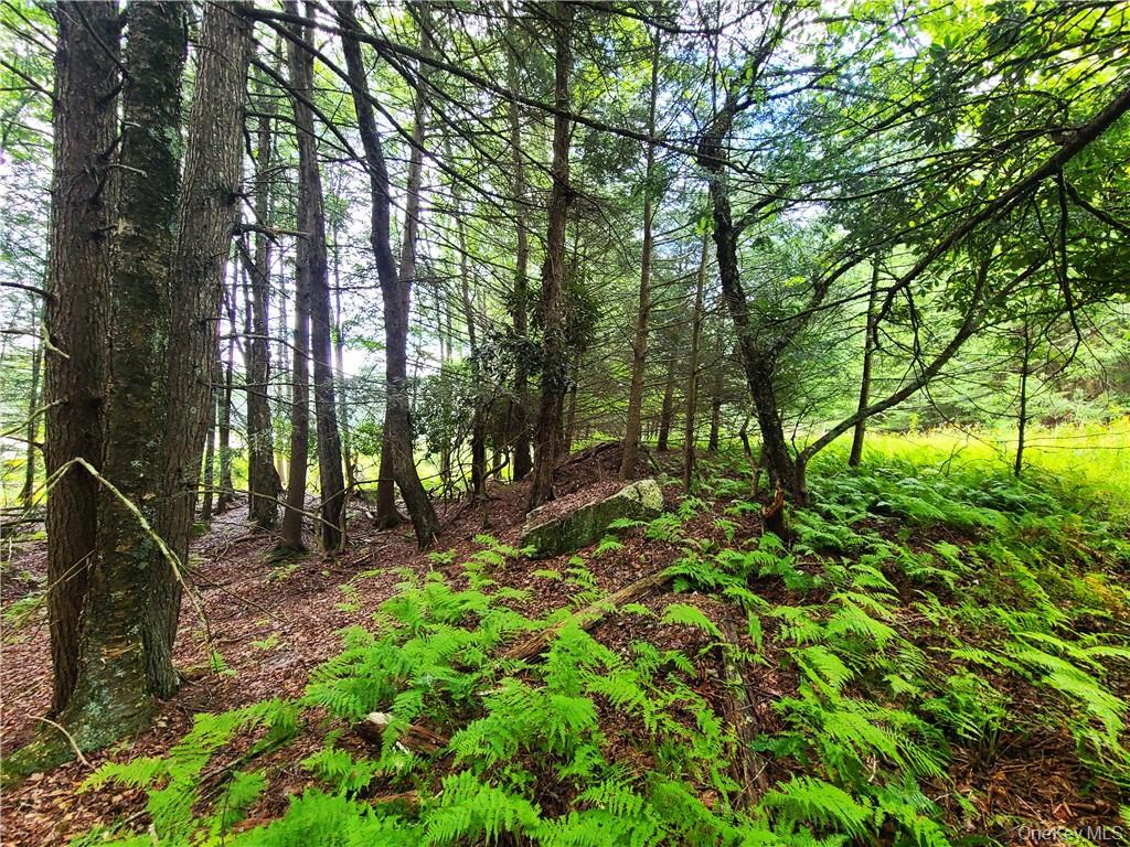 Lot 23 Deer Meadow Road – For Sale photo 18