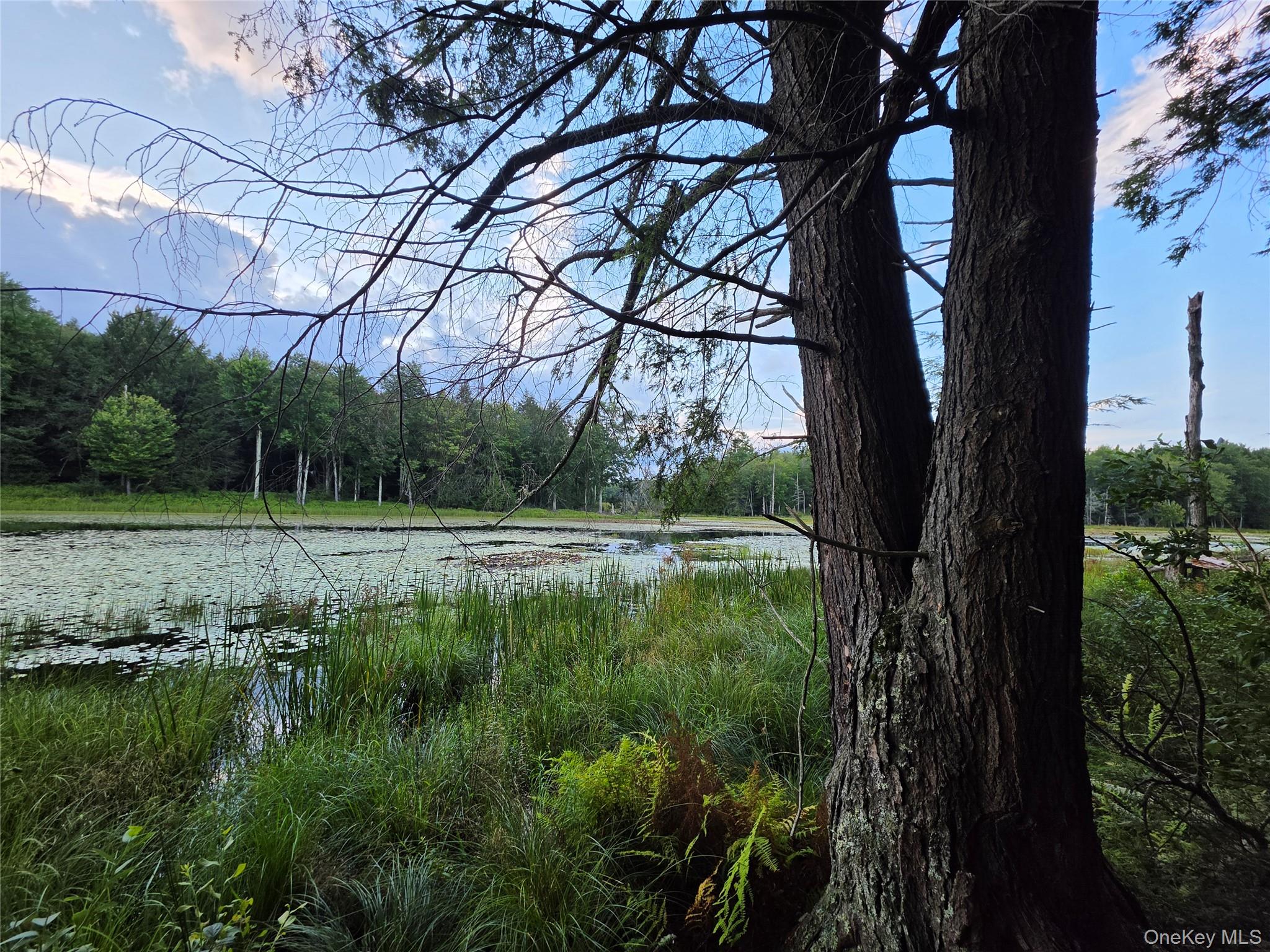 Lot 23 Deer Meadow Road – For Sale photo 42