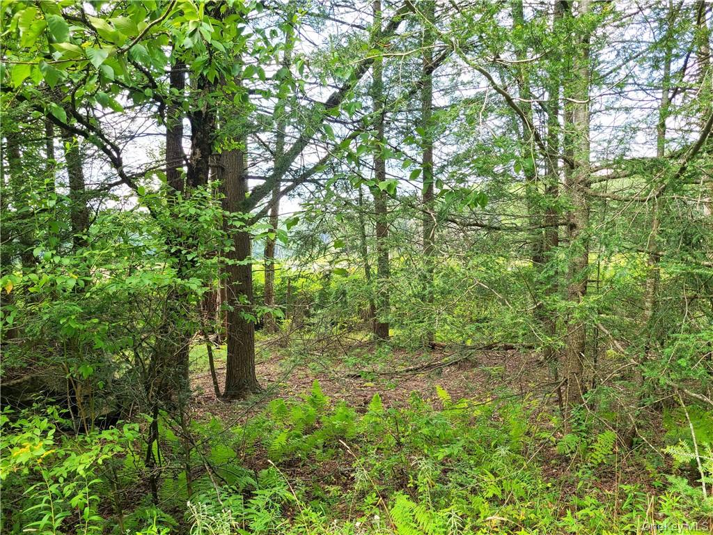 Lot 23 Deer Meadow Road – For Sale photo 20