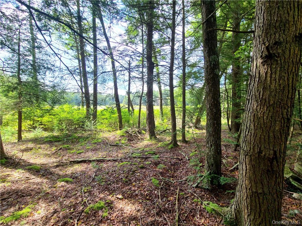 Lot 23 Deer Meadow Road – For Sale photo 25