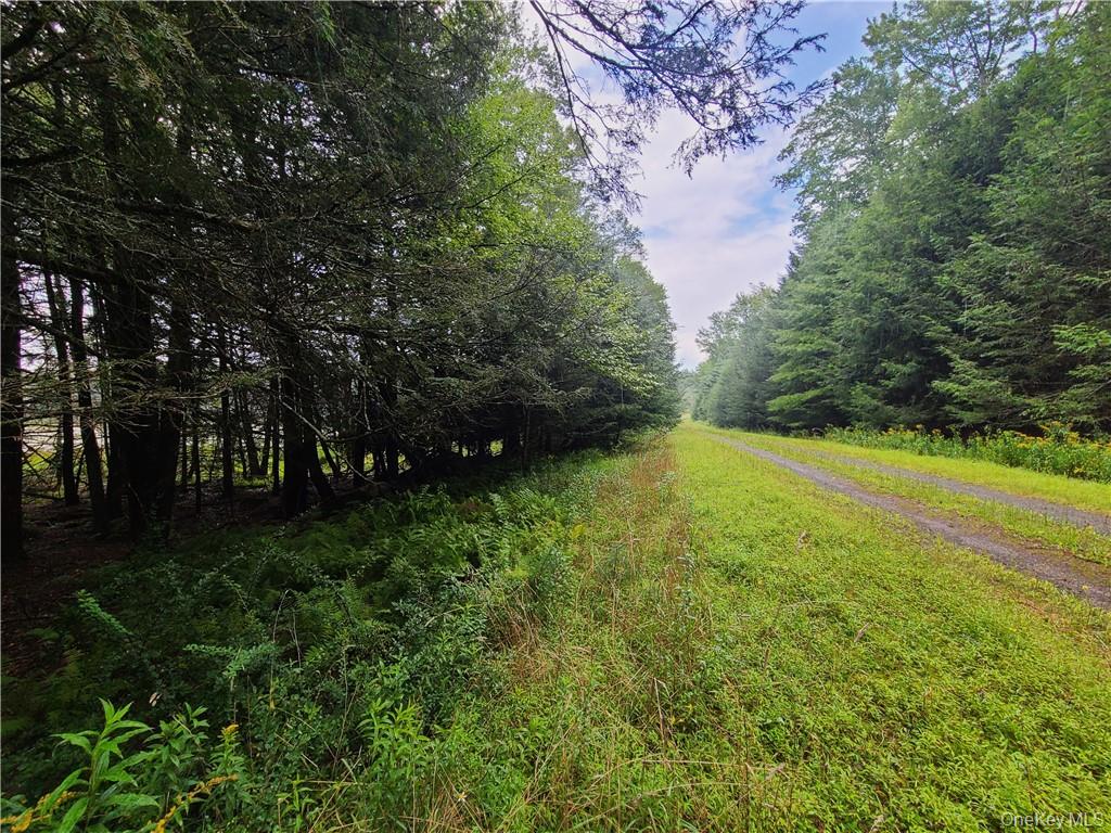 Lot 23 Deer Meadow Road – For Sale photo 22