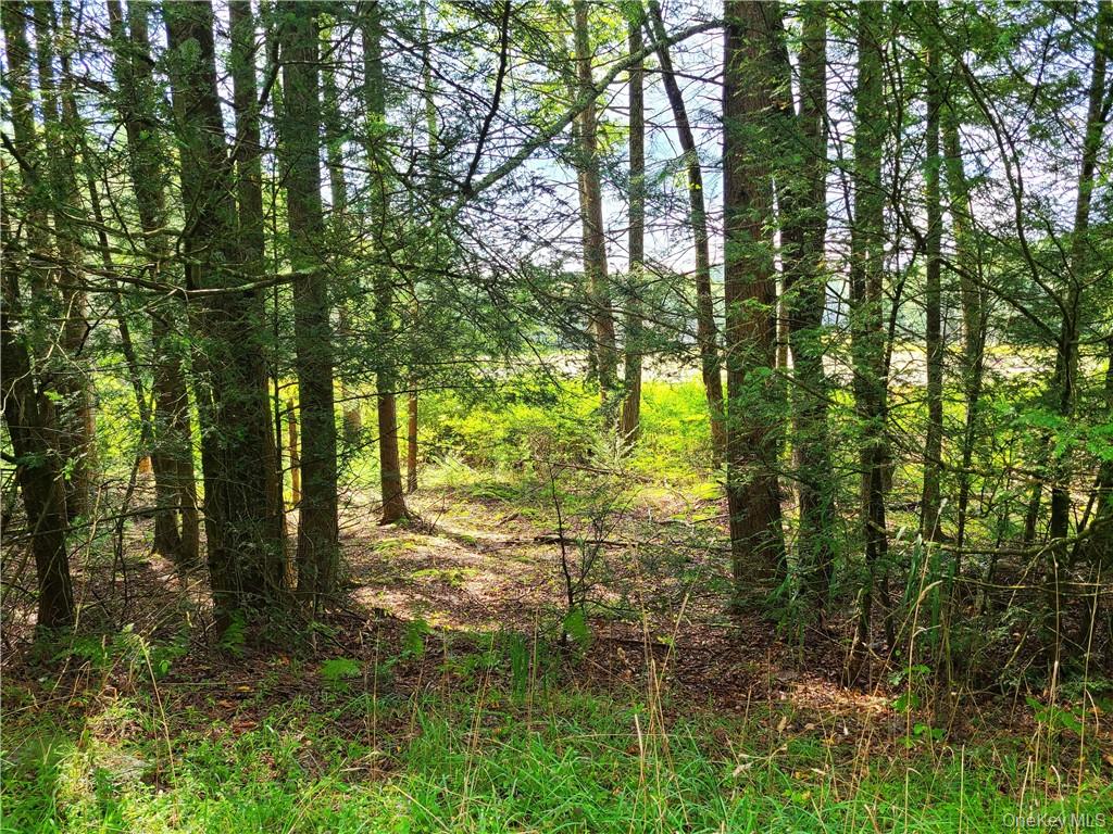Lot 23 Deer Meadow Road – For Sale photo 19