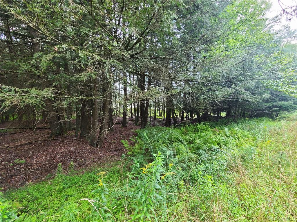 Lot 23 Deer Meadow Road – For Sale photo 11