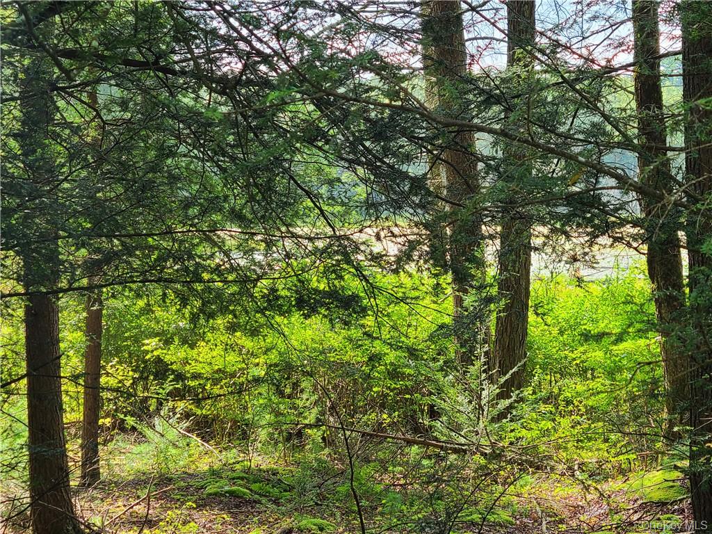 Lot 23 Deer Meadow Road – For Sale photo 28