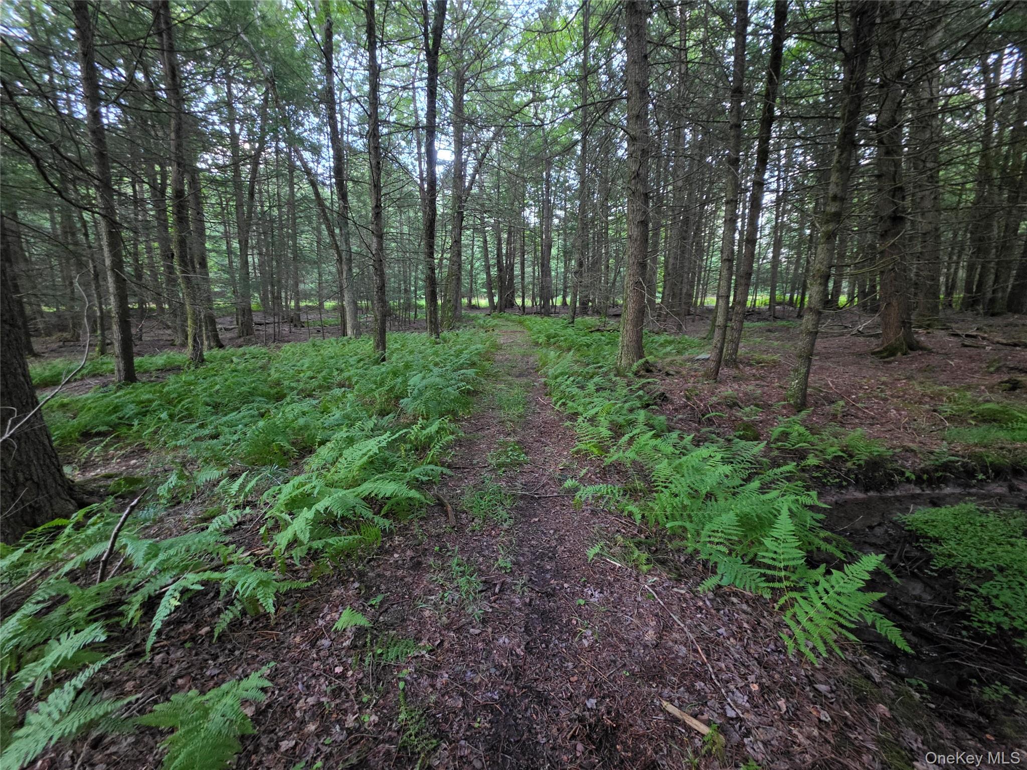 Lot 23 Deer Meadow Road – For Sale photo 44