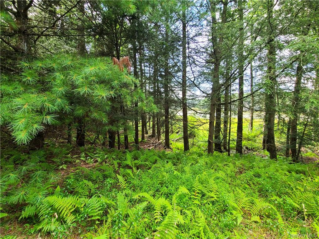Lot 23 Deer Meadow Road – For Sale photo 24