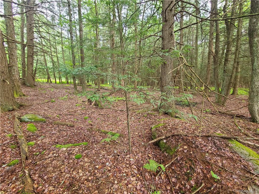 Lot 23 Deer Meadow Road – For Sale photo 23