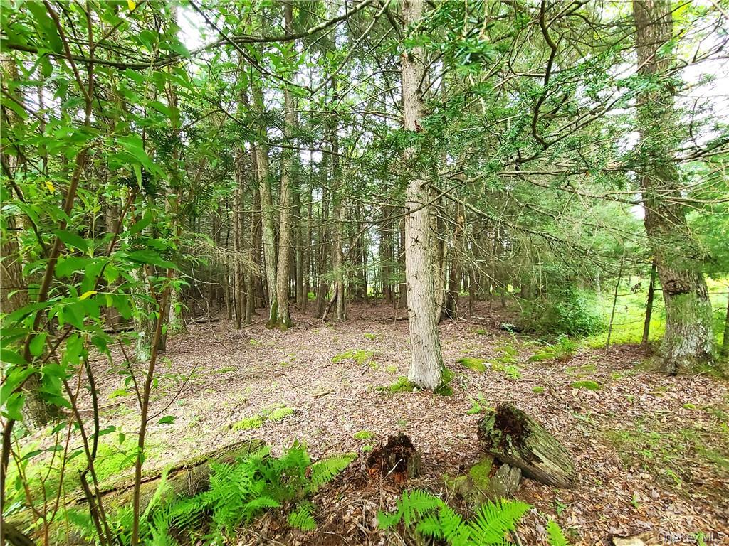 Lot 23 Deer Meadow Road – For Sale photo 21