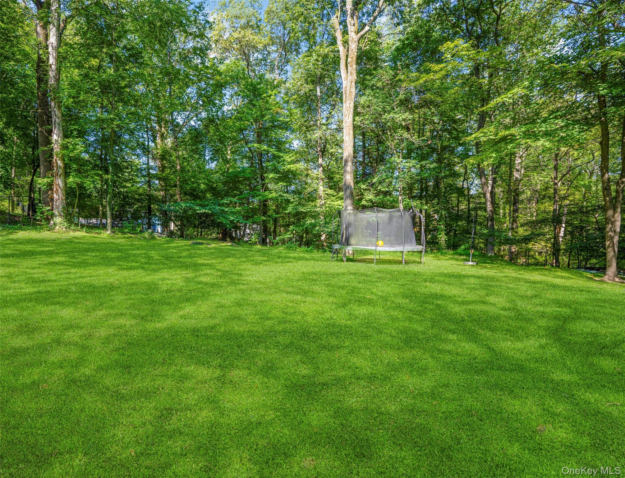 26 Cecilia Lane – For Sale photo 45