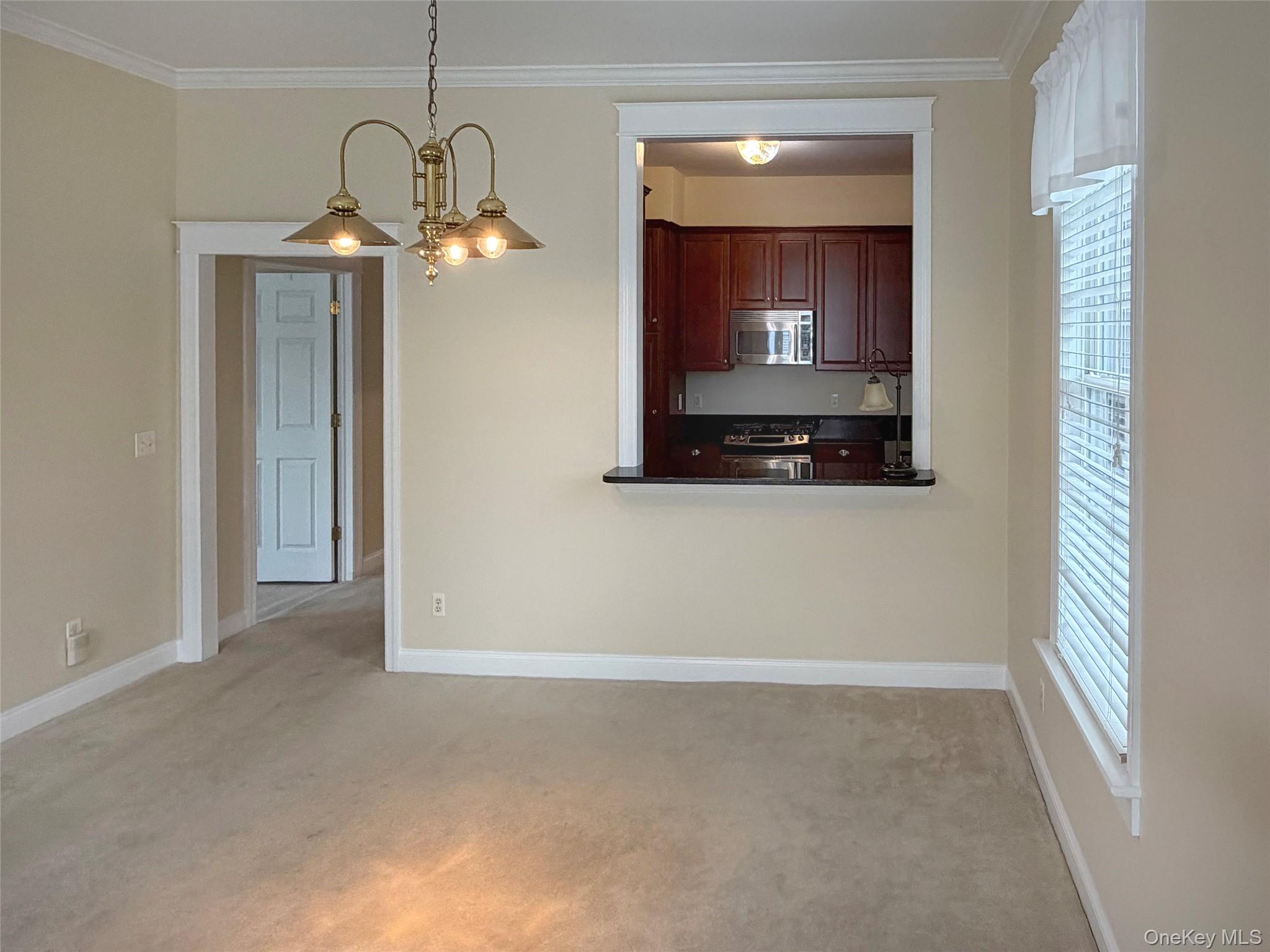 19 Cropsey St Unit 1D Cropsey Street, Unit 1 D photo 16
