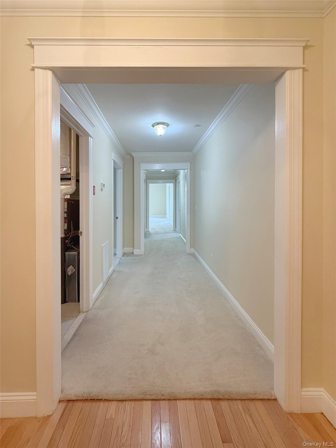 19 Cropsey St Unit 1D Cropsey Street, Unit 1 D photo 26
