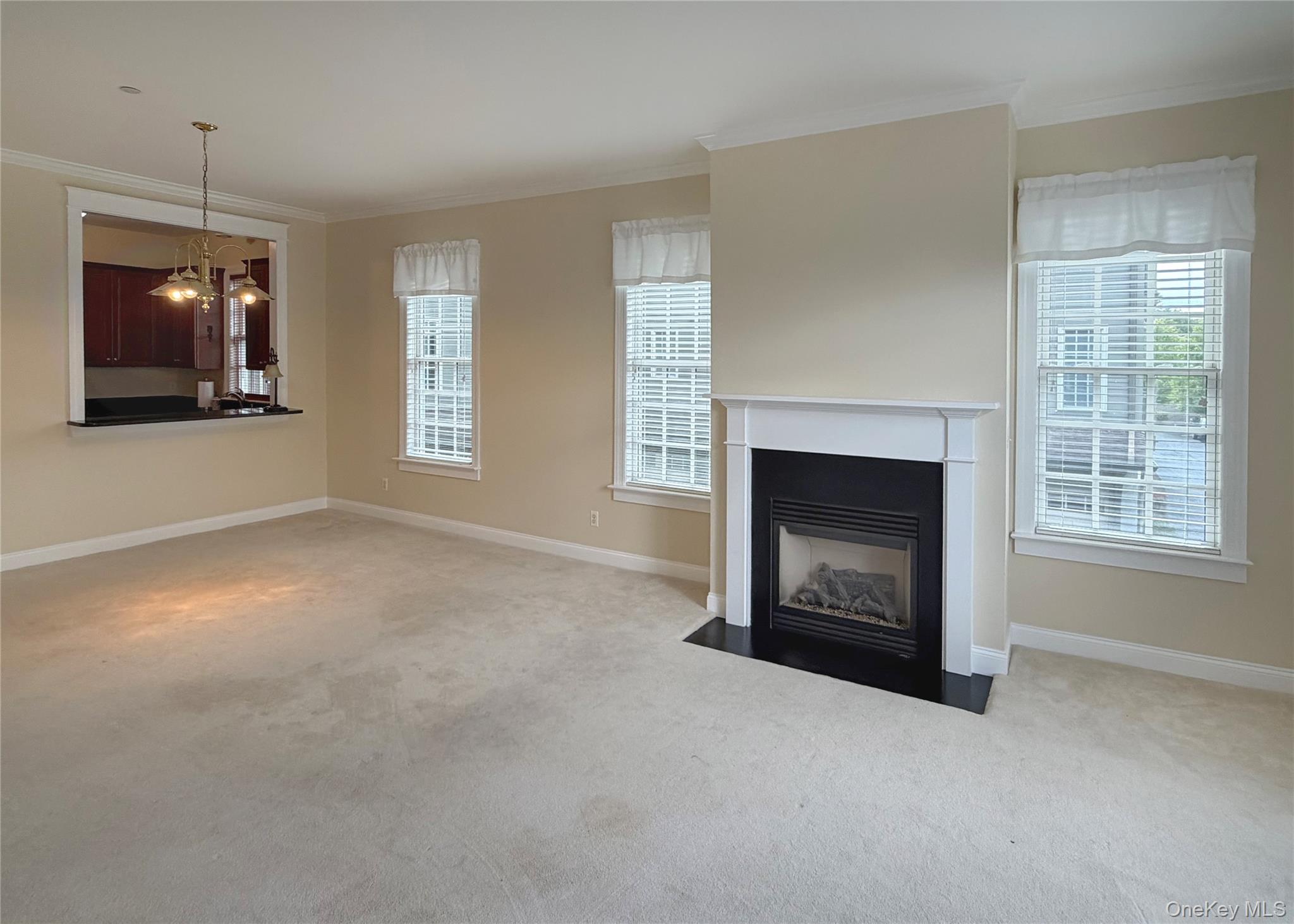 19 Cropsey St Unit 1D Cropsey Street, Unit 1 D photo 17