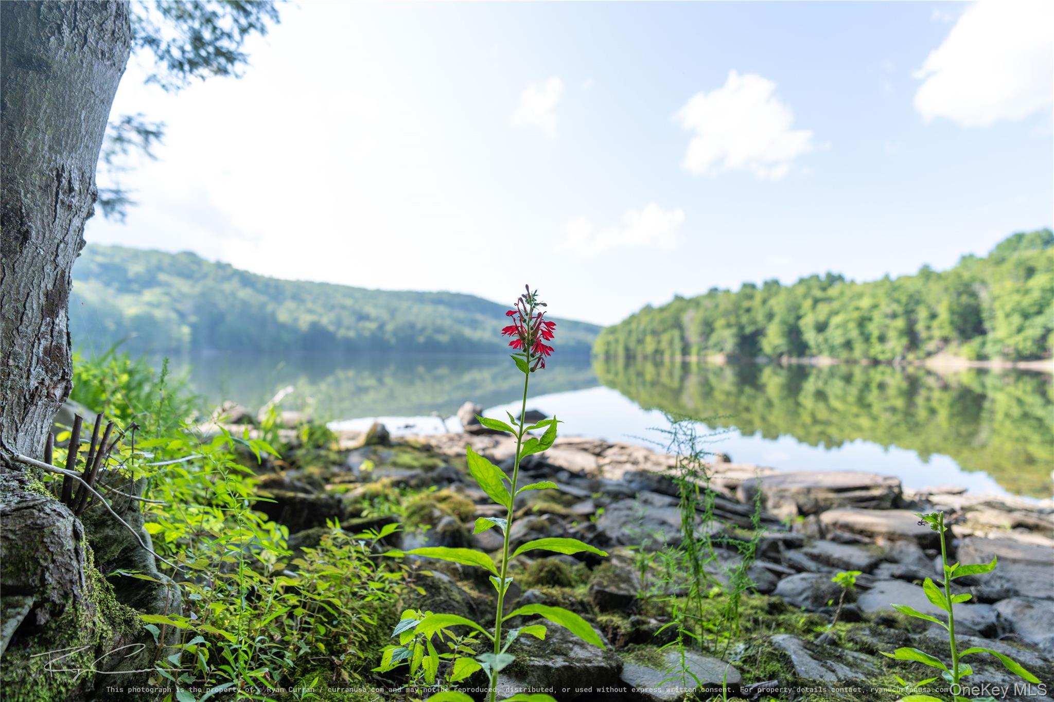 Old Plank Road – For Sale photo 16