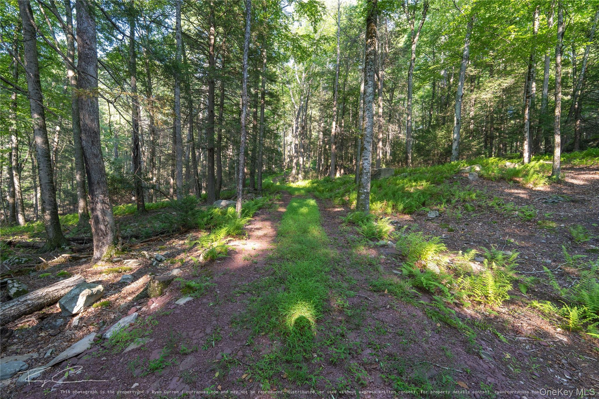 Old Plank Road – For Sale photo 26