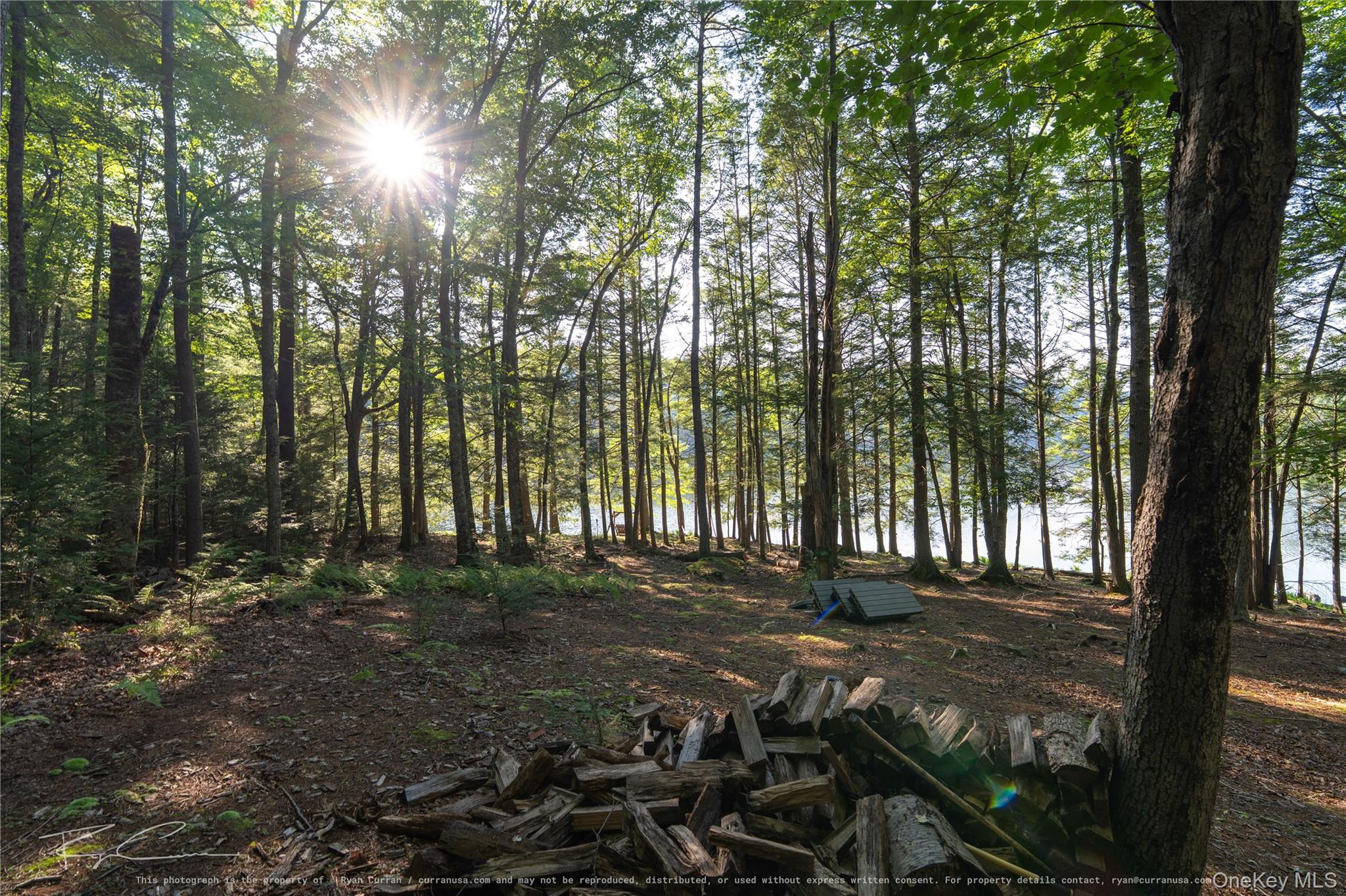 Old Plank Road – For Sale photo 30