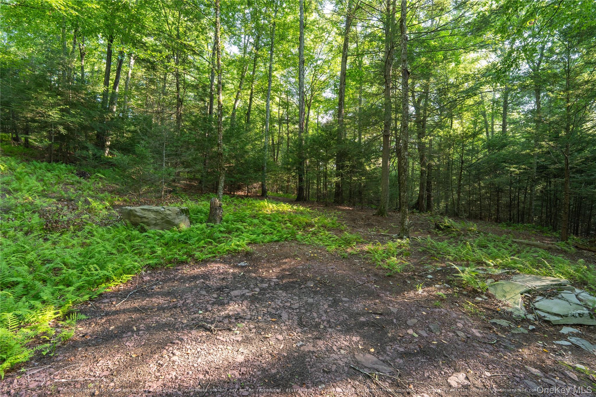 Old Plank Road – For Sale photo 28