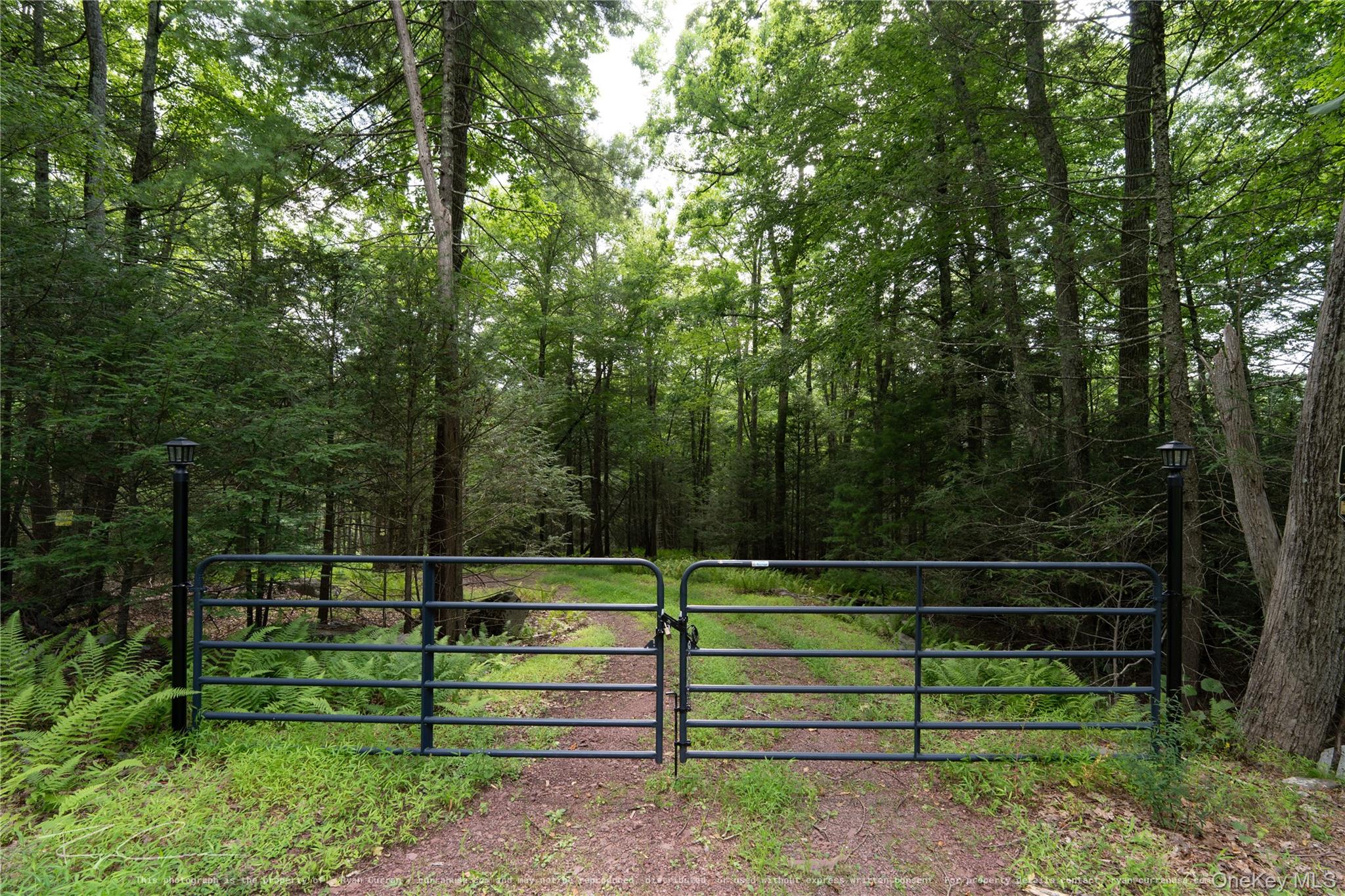Old Plank Road – For Sale photo 15