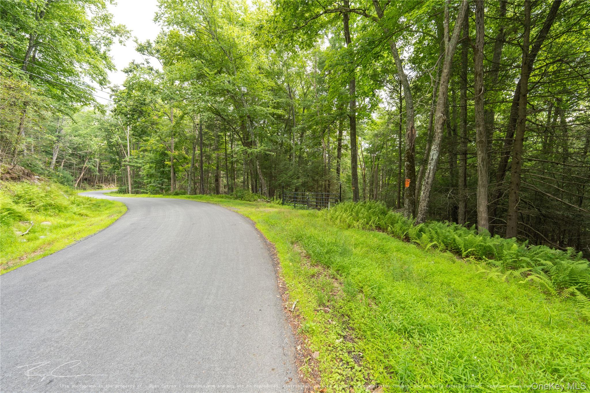 Old Plank Road – For Sale photo 14