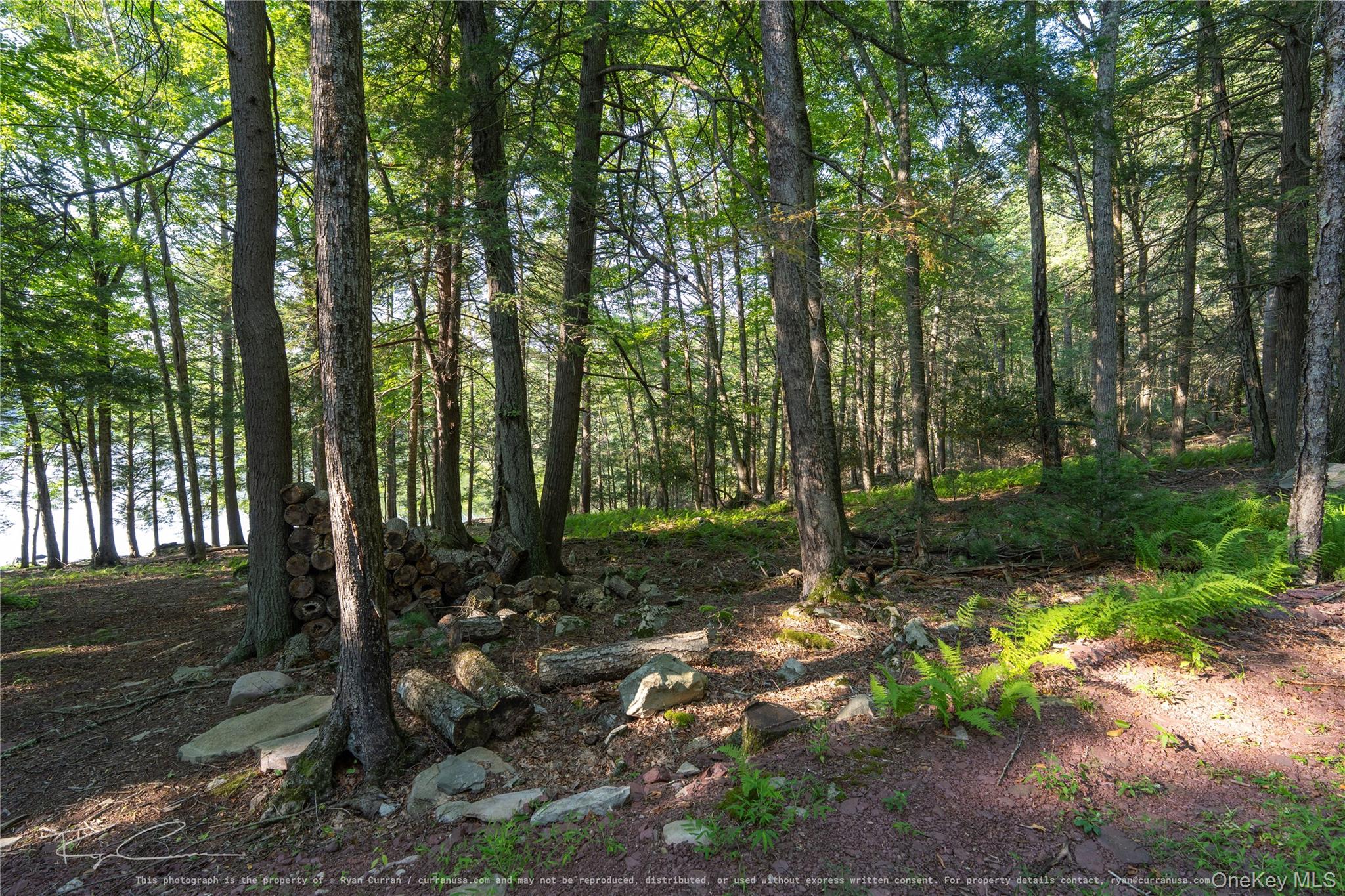 Old Plank Road – For Sale photo 27