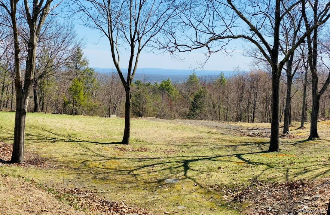 231 Manorville Road – For Sale photo 43