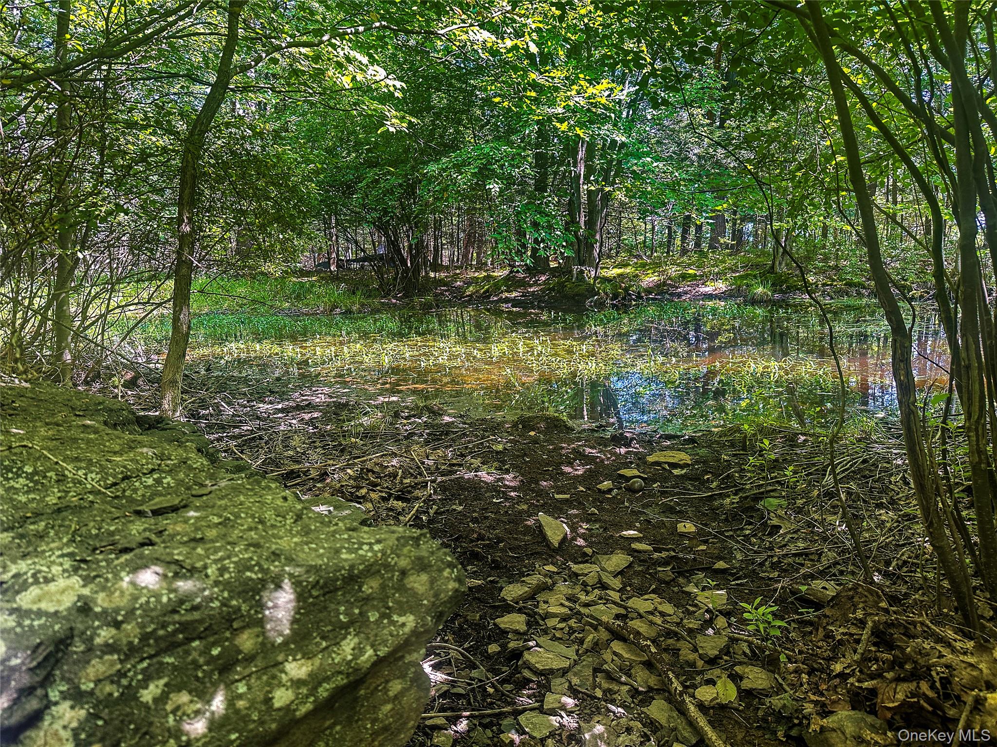 231 Manorville Road – For Sale photo 39