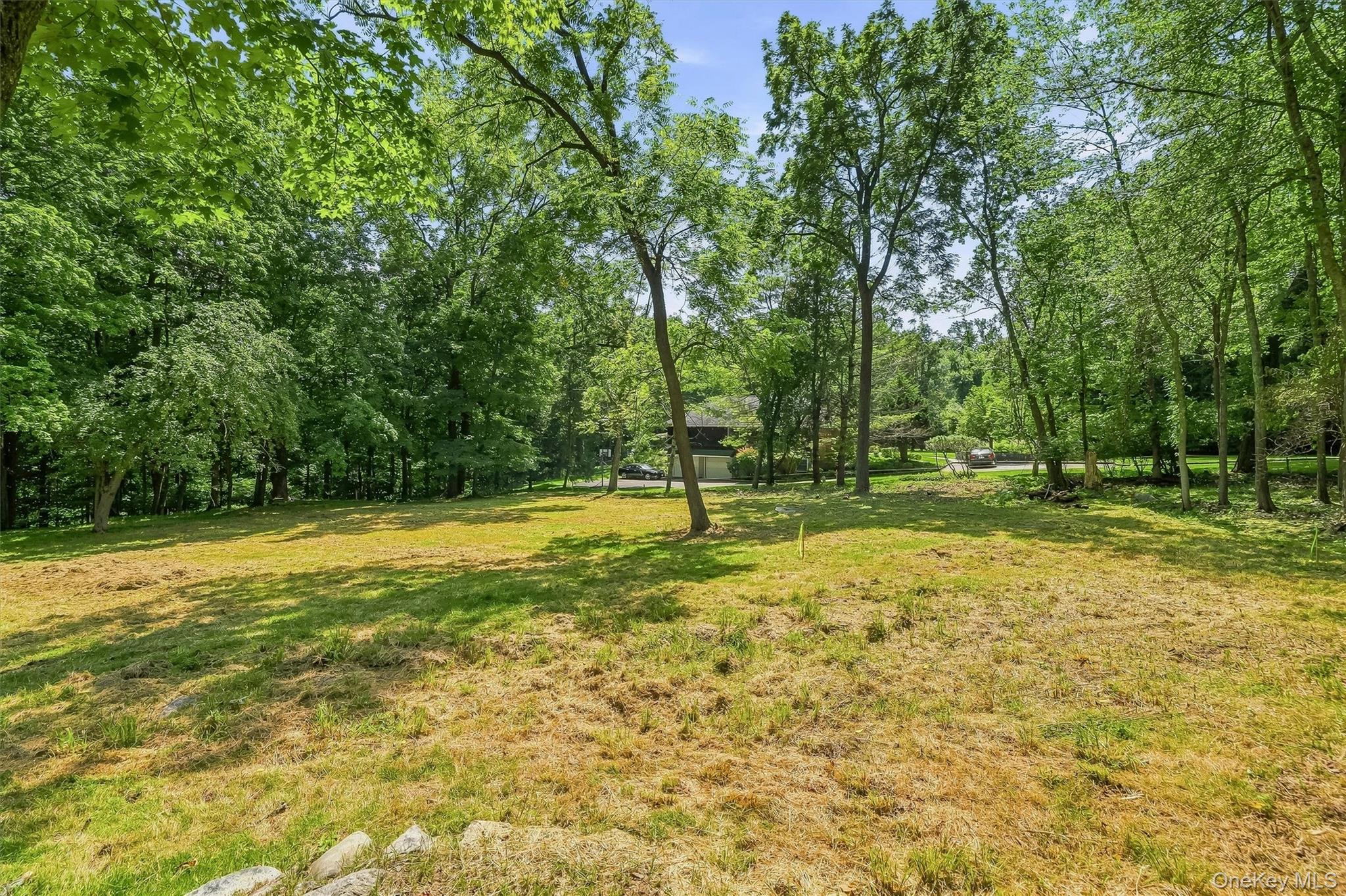Davidson Drive – For Sale photo 11