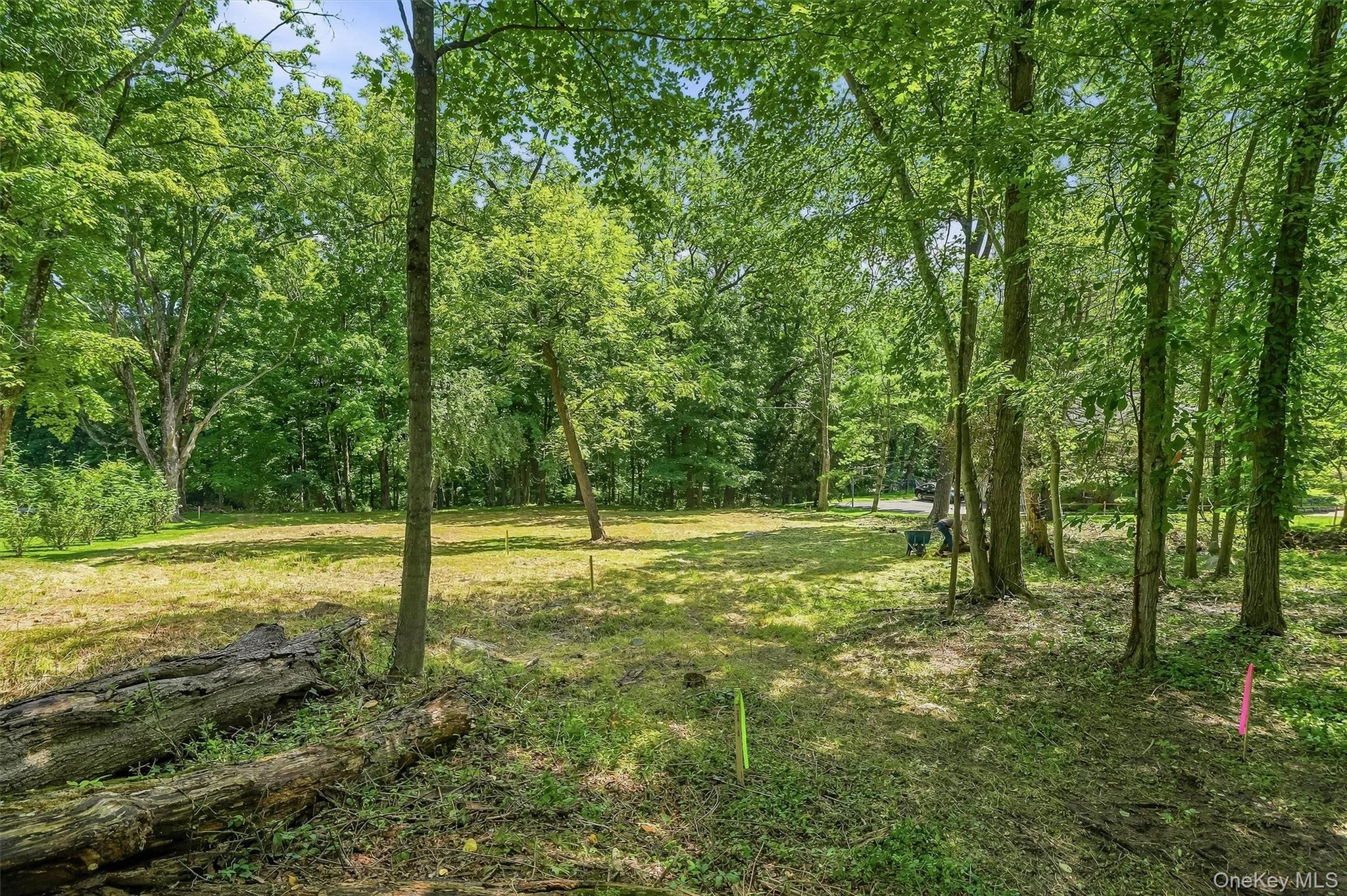 Davidson Drive – For Sale photo 8