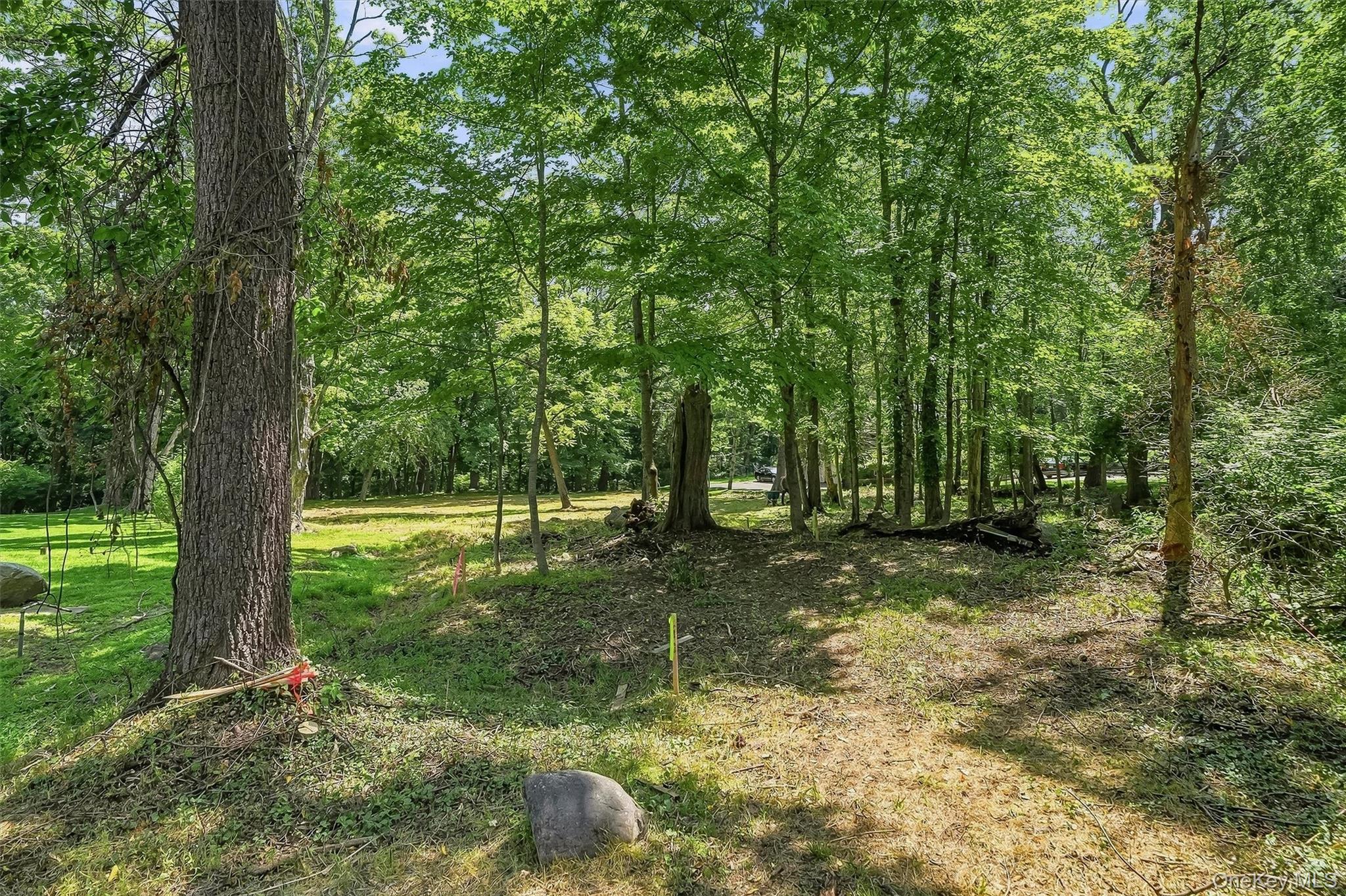 Davidson Drive – For Sale photo 7