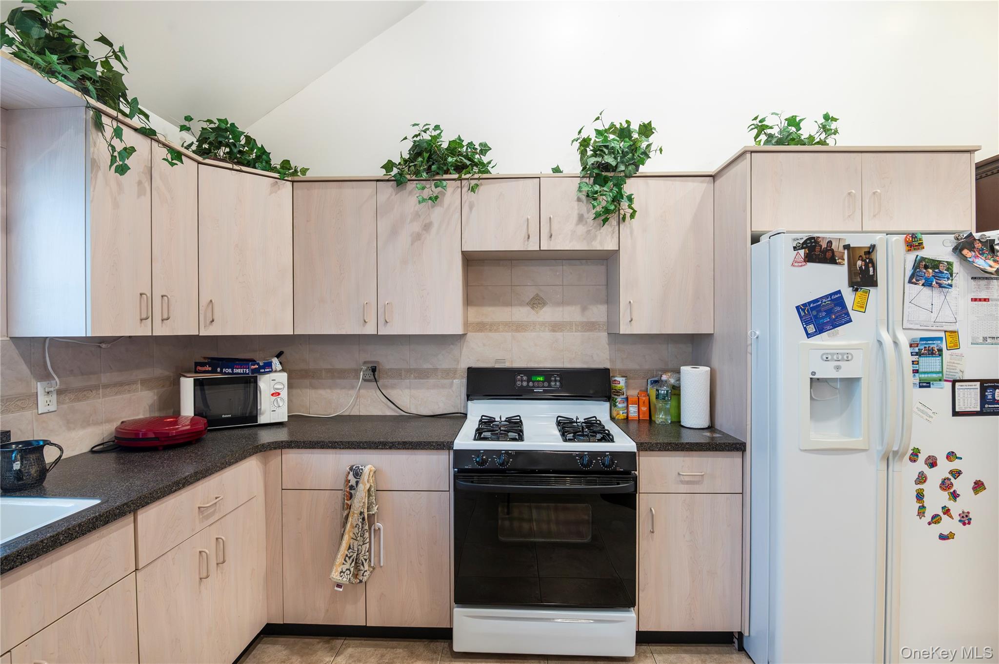 100 Mesora Woods Drive, Unit 35 photo 30