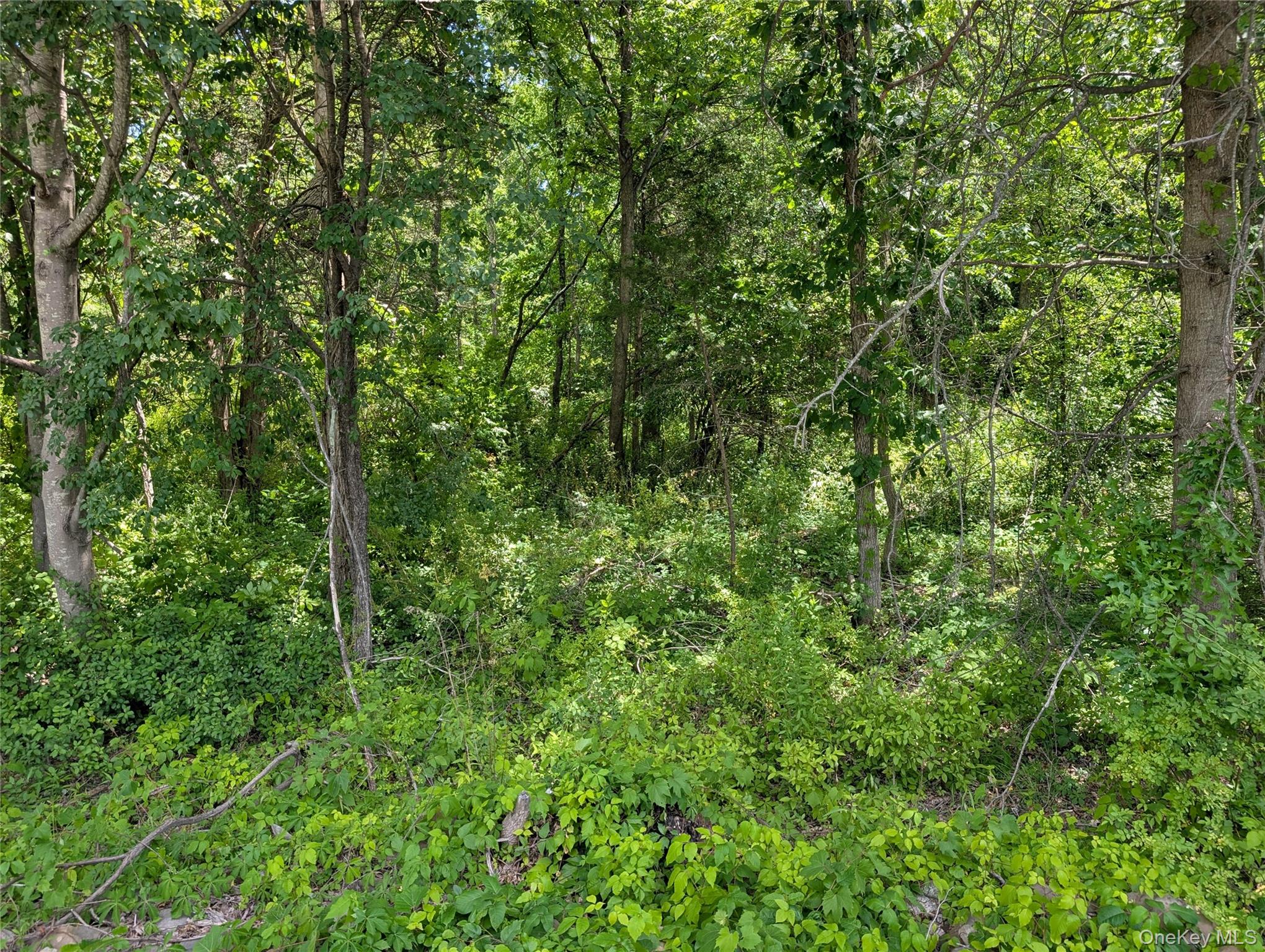 St Rte 17K – For Sale photo 12