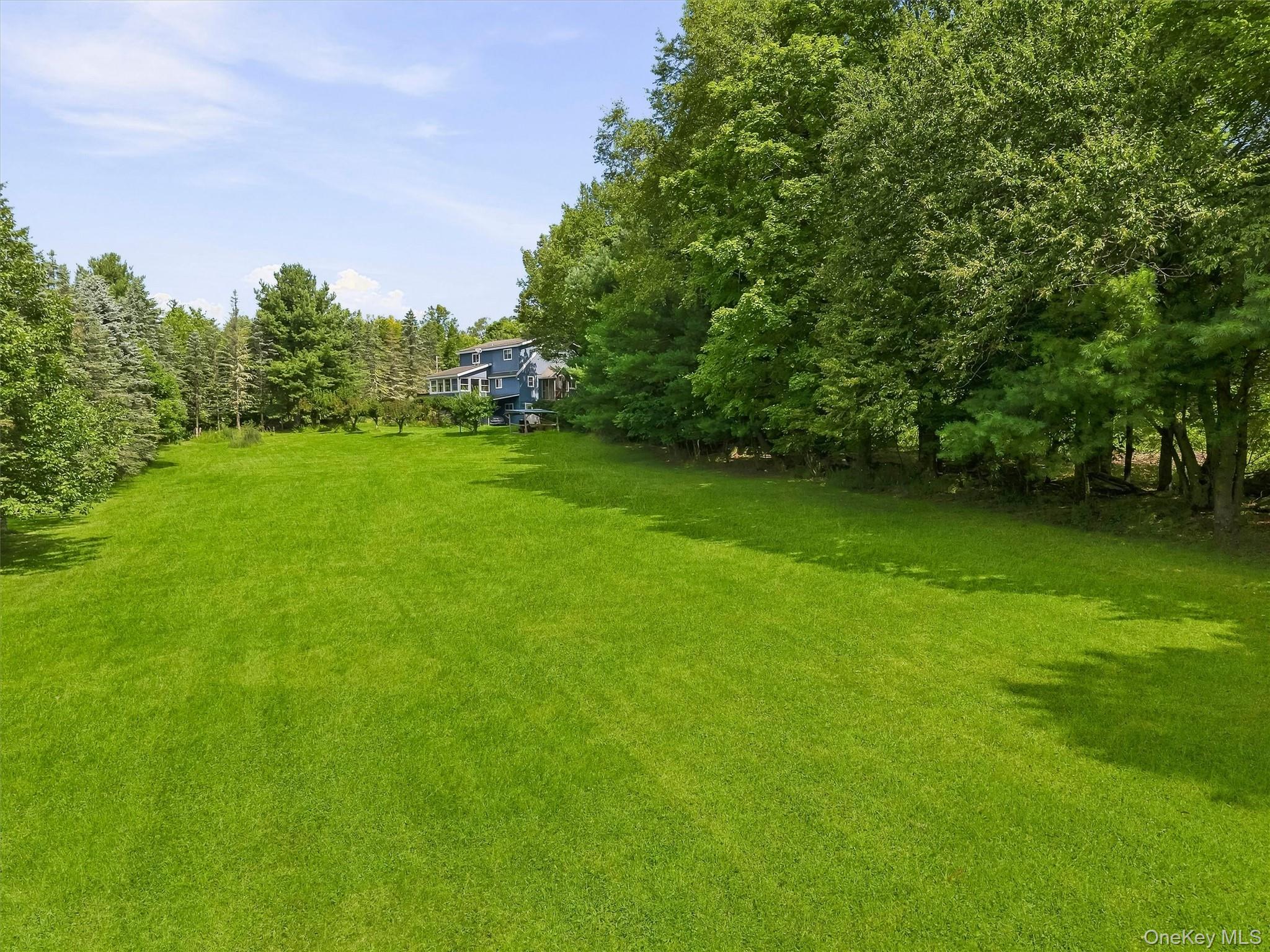 459 County Road 115 – For Sale photo 44
