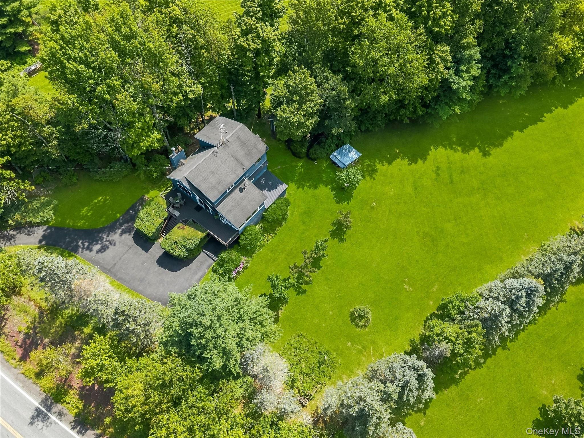 459 County Road 115 – For Sale photo 47