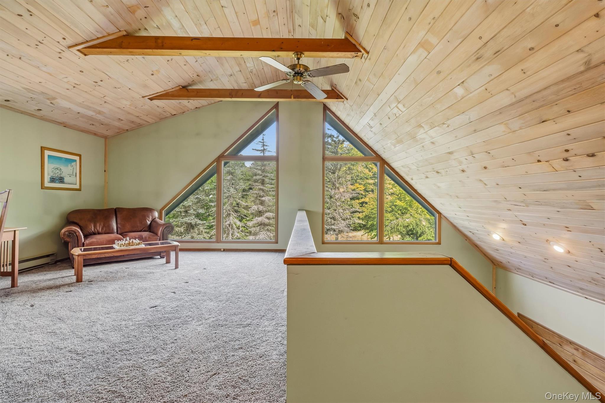 459 County Road 115 – For Sale photo 30