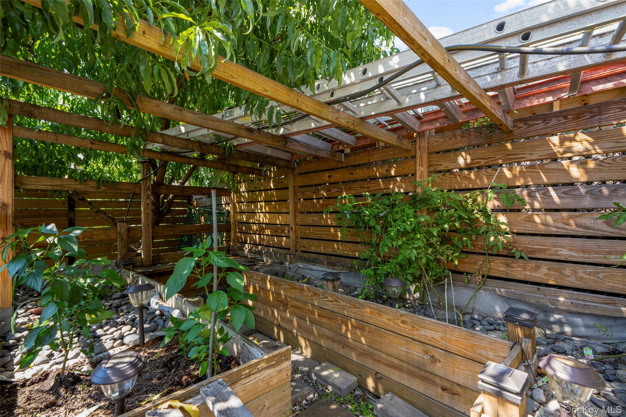 63 Storm Street, Unit 1 photo 24