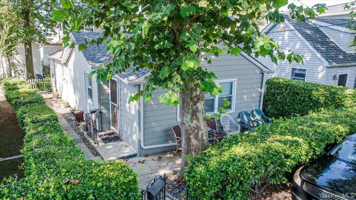 9 Magnolia Place, Unit 1 photo 20