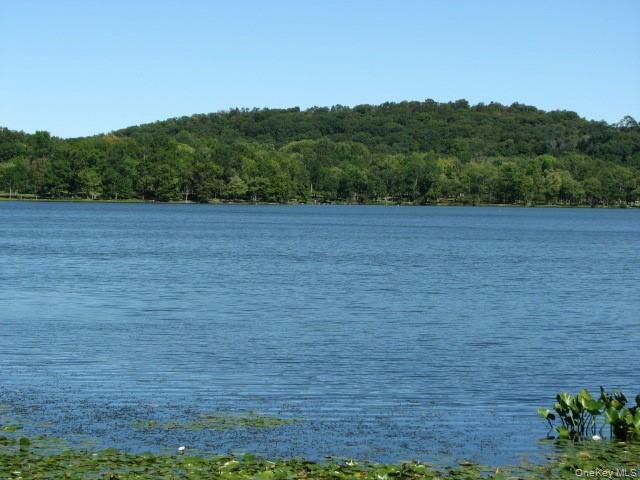 30 N Route 9W, Unit 37 photo 15