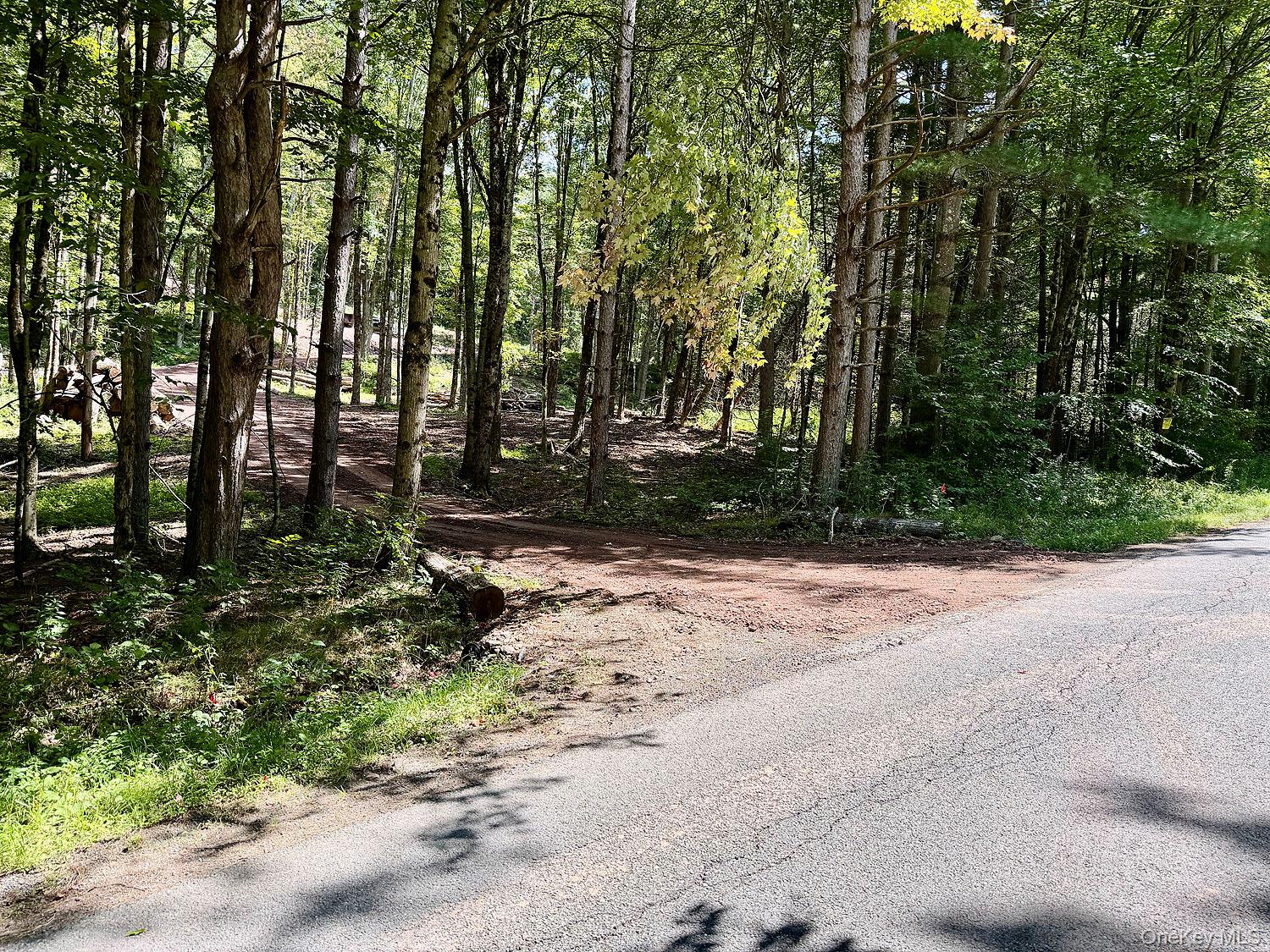 Hammer Road – For Sale photo 7