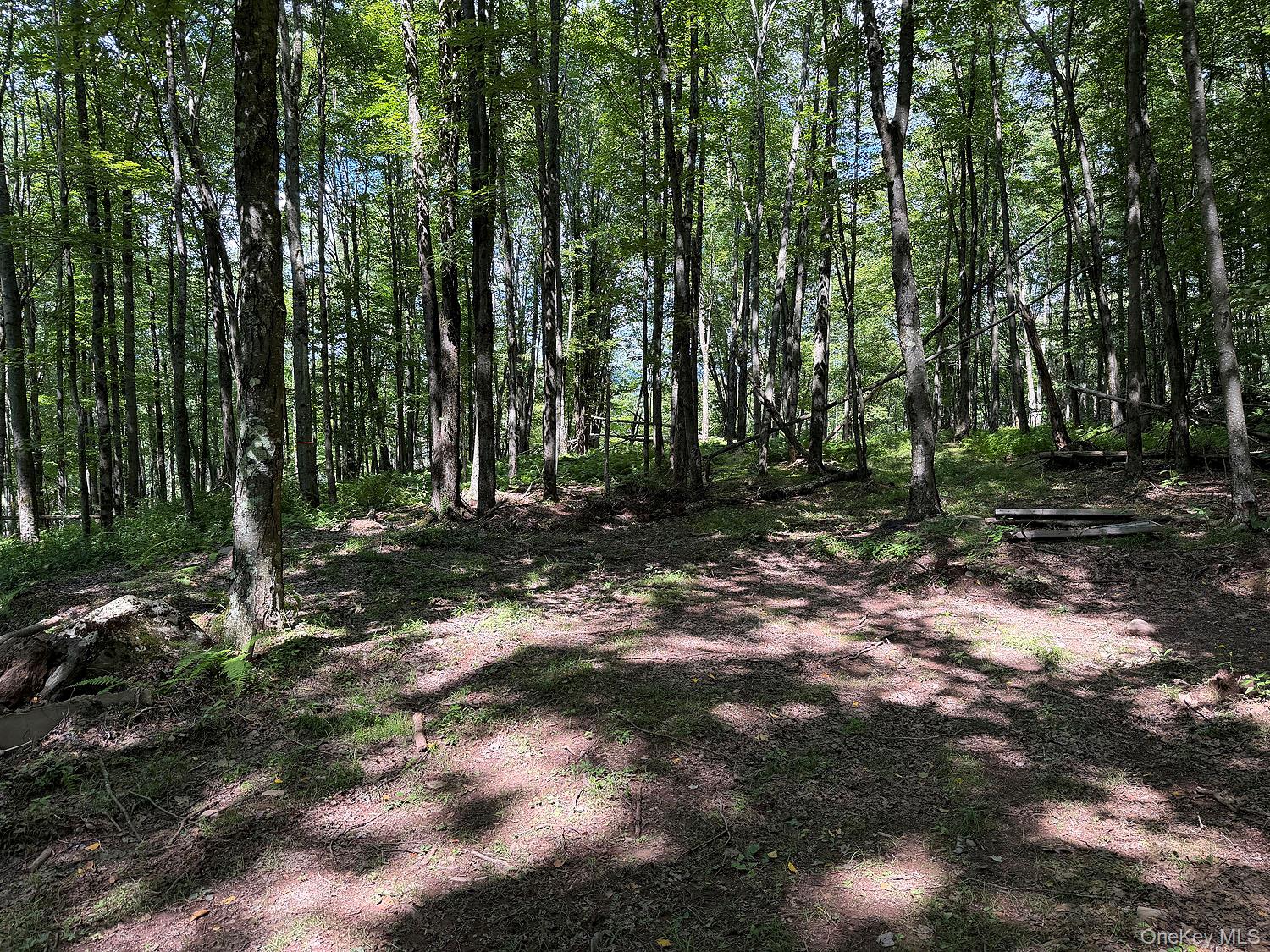 Hammer Road – For Sale photo 12