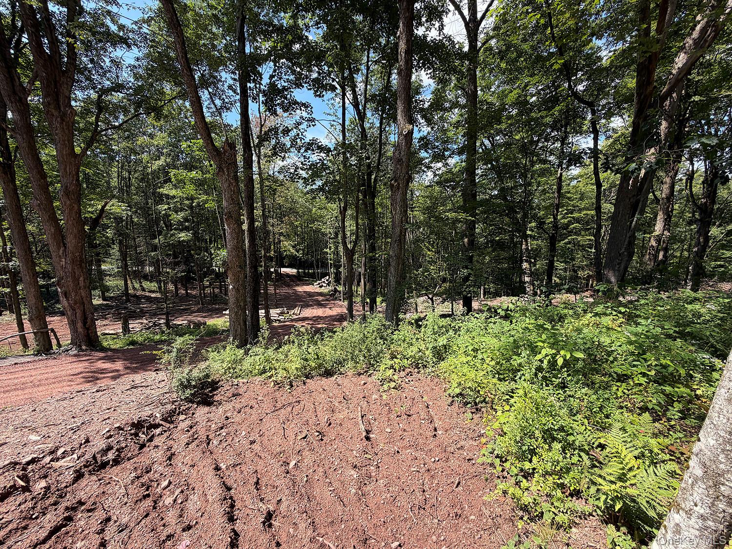 Hammer Road – For Sale photo 10