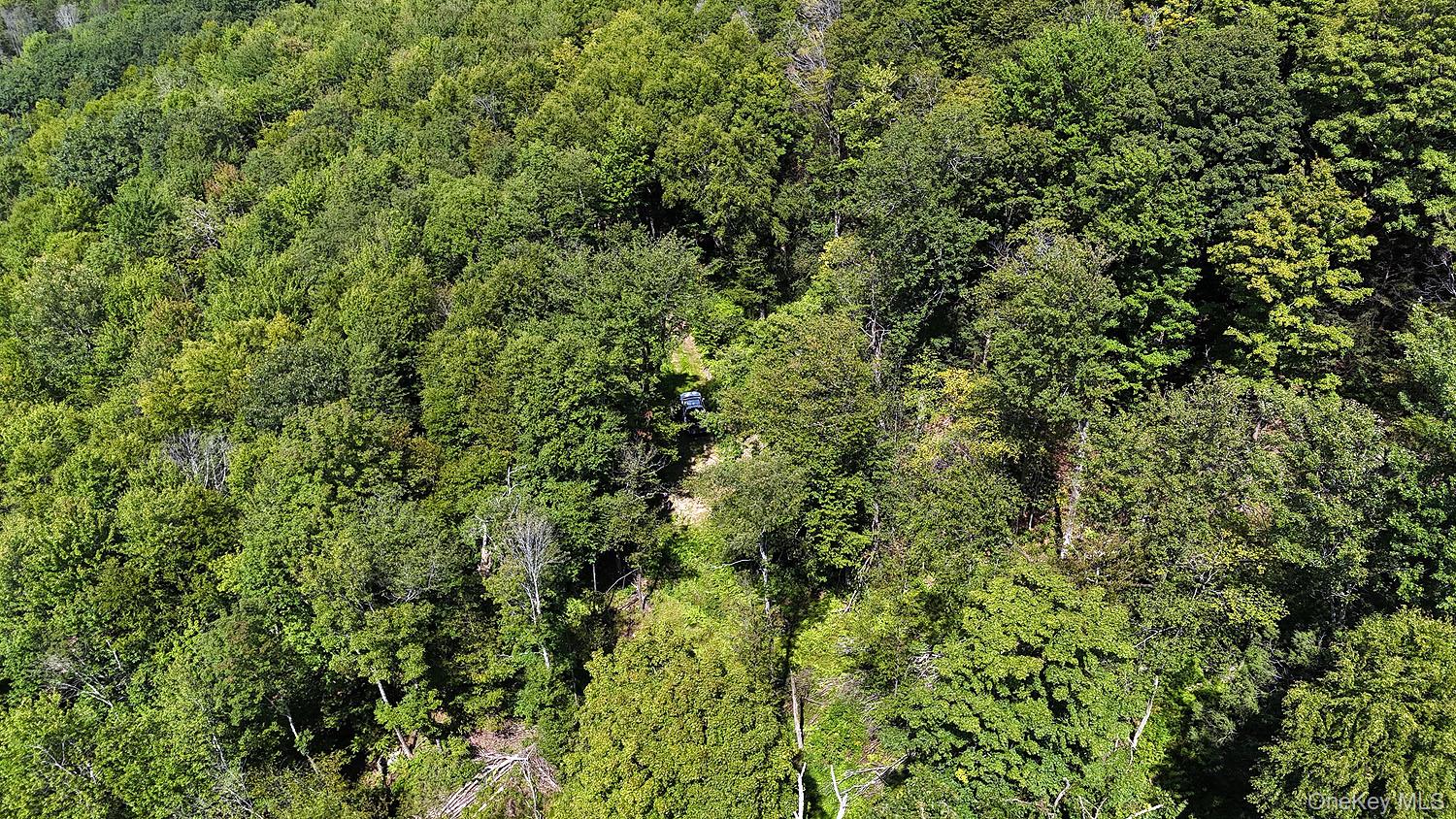 Hammer Road – For Sale photo 25